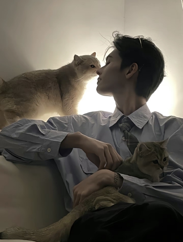 怪猫的第一张照片--江门残疾人相亲网